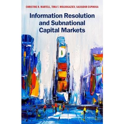 Information Resolution and Subnational Capital Markets