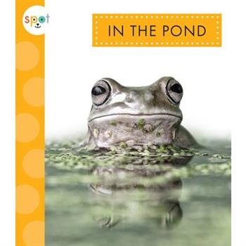 In the Pond