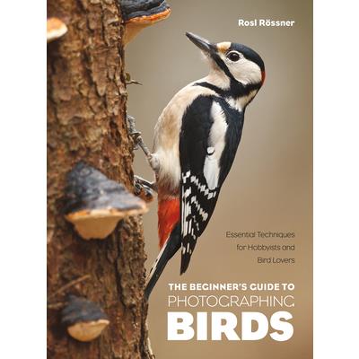The Beginner’s Guide to Photographing Birds