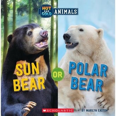 Sun Bear or Polar Bear (Wild World)