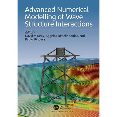 Advanced Numerical Modelling of Wave Structure Interaction