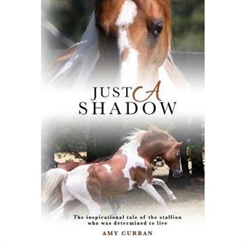 Just A Shadow