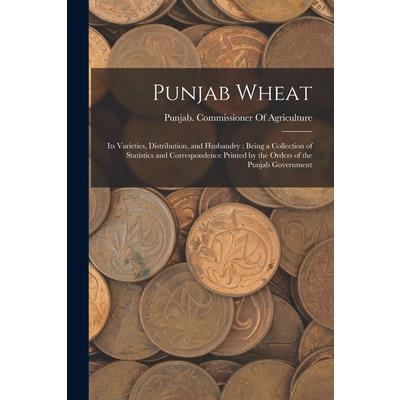 Punjab Wheat