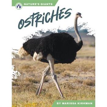 Ostriches