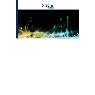 Examination of Executive Functions