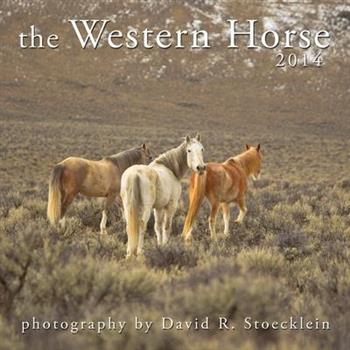 The Western Horse 2014(Wall)