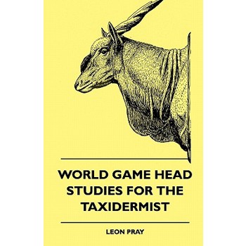 World Game Head Studies for the Taxidermist
