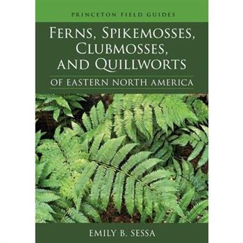 Ferns, Spikemosses, Clubmosses, and Quillworts of Eastern North America