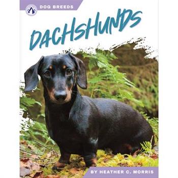 Dachshunds