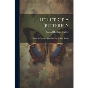 The Life Of A Butterfly