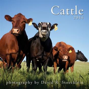 Cattle 2014 Calendar