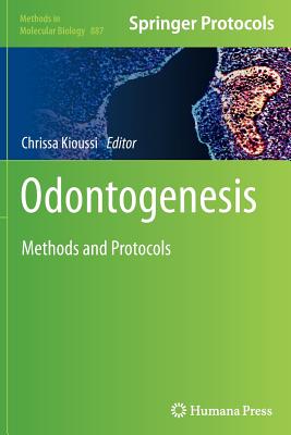Odontogenesis