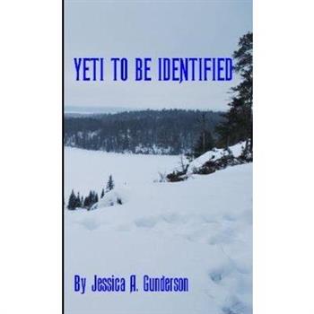 Yeti to be Identified