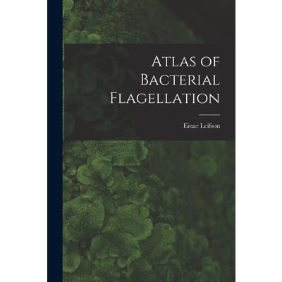Atlas of Bacterial Flagellation