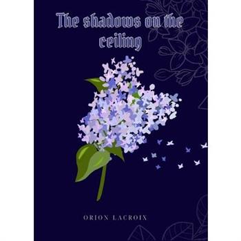 The shadows on the ceiling