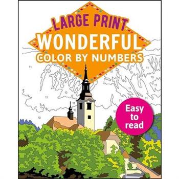 Large Print Wonderful Color by Numbers