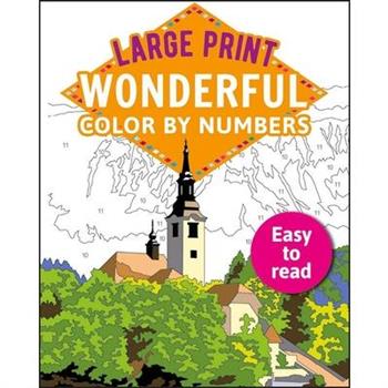 Large Print Wonderful Color by Numbers