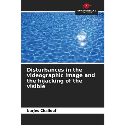 Disturbances in the videographic image and the hijacking of the visible
