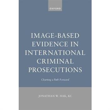 Image-Based Evidence in International Criminal Prosecutions