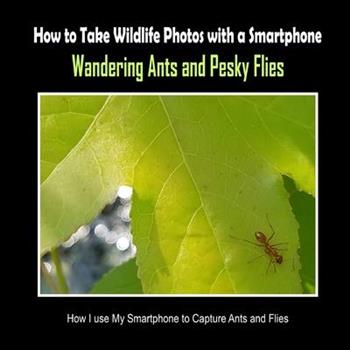 Wandering Ants and Pesky Flies