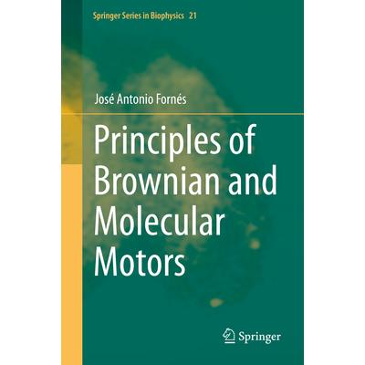 Principles of Brownian and Molecular Motors