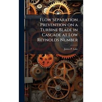 Flow Separation Prevention on a Turbine Blade in Cascade at Low Reynolds Number