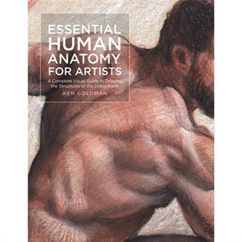Essential Human Anatomy for Artists
