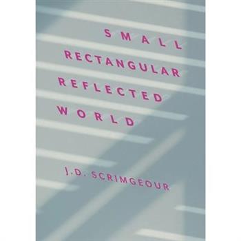 Small, Rectangular, Reflected World