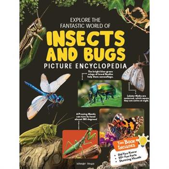 Explore Fantastic World of Insects and Bugs Picture Encyclopedia