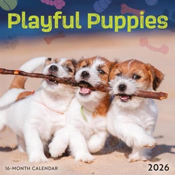 Playful Puppies