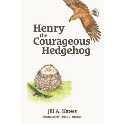 Henry the Courageous Hedgehog