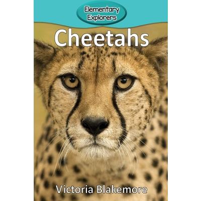 Cheetahs /