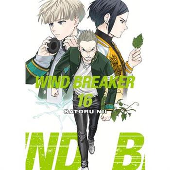 Wind Breaker 16