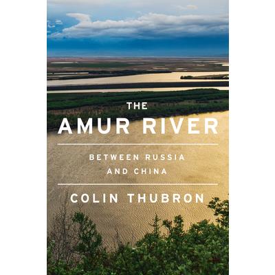 The Amur River