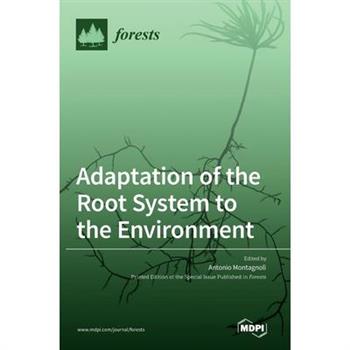 Adaptation of the Root System to the Environment