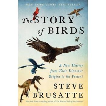 The Story of Birds