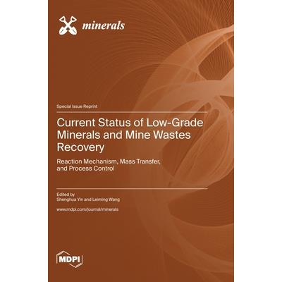 Current Status of Low-Grade Minerals and Mine Wastes Recovery