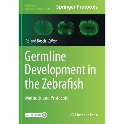 Germline Development in the Zebrafish