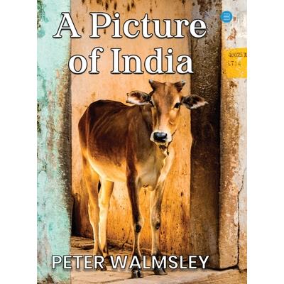 A Picture Of India