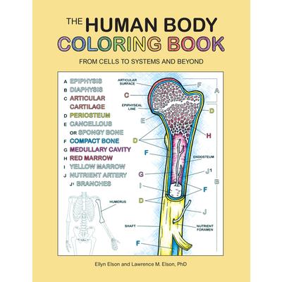 The Human Body Coloring Book
