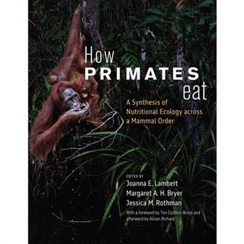 How Primates Eat