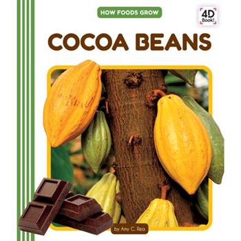 Cocoa Beans