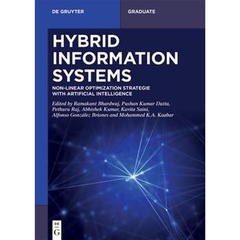 Hybrid Information Systems