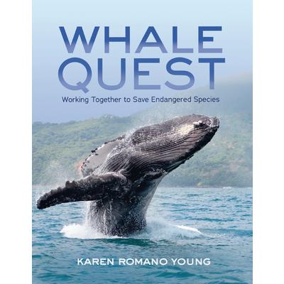 Whale Quest