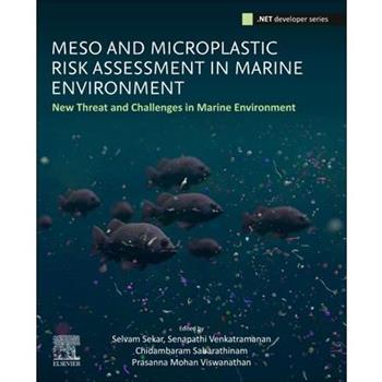 Meso and Microplastic Risk Assessment in Marine Environments