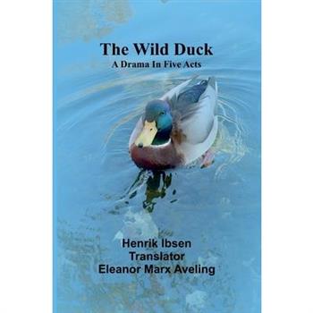 The wild duck