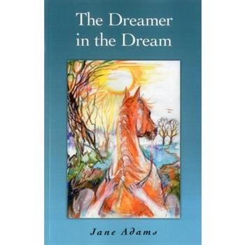 The Dreamer in the Dream