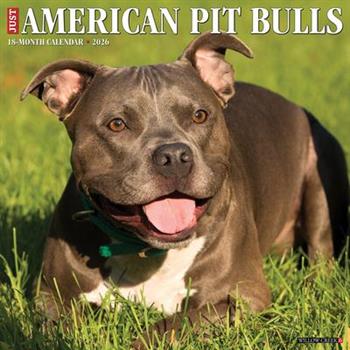 American Pit Bull Terriers 2026 12 X 12 Wall Calendar