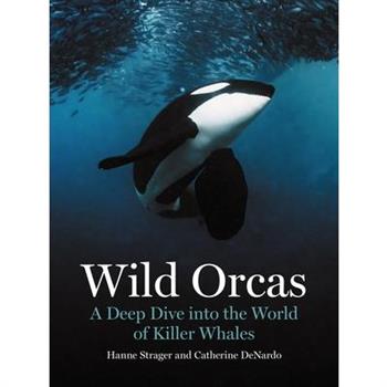 Wild Orcas