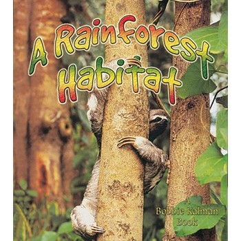 A Rainforest Habitat